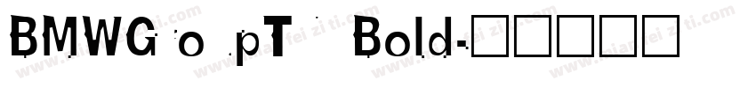 BMWGroupTN Bold字体转换